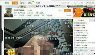 国产啪tv,探索“啪tv”的独特魅力  第3张