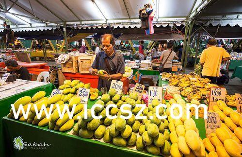 香蕉国产精品  第2张