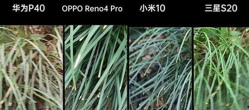 青草青青国产视频  第3张